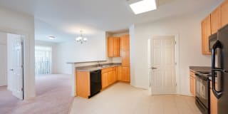 Reid's Prospect Gallery 11