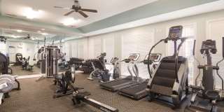 Angel Landing Gallery 22