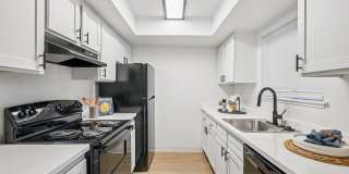 ReNew Fair Oaks Gallery 1