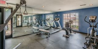 The Hills of Palos Verdes Gallery 16