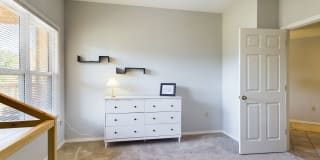 The Fields Gallery 17