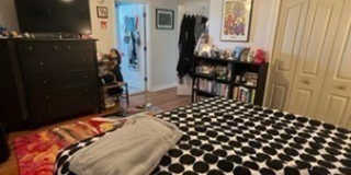 20 Joseph Street Gallery 13