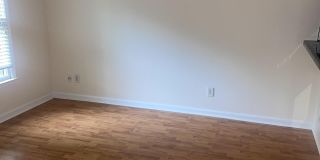 3016 Live Oak Gallery 8