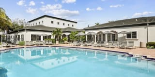 Palm Trace Landings Gallery 1