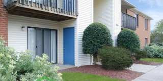 Willow Oaks Gallery 5