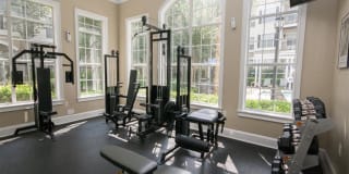 Paces Park Gallery 5