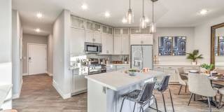 Aspire at Alper Gallery 14