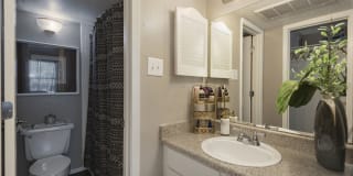 The Madrid Gallery 25