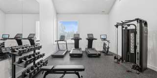 Fir Grove Gallery 20