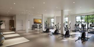 Mosby at Avalon Park Gallery 8