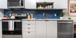 Alexan Main Street Gallery 46