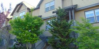 Quiet home close to shopping and Max Gallery 3