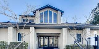 The Harlow Gallery 43