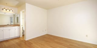 Windridge Gallery 35