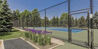 26101 Village Lane Gallery 43