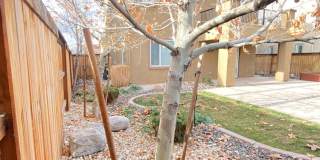 Home in Damonte Ranch Village Gallery 15