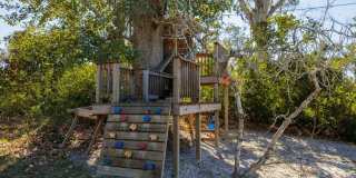 Stunning & Spacious 3-BR Home with Sunroom & Bonus Room in Valdosta! Gallery 26