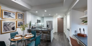 Stanza Little Italy Gallery 40