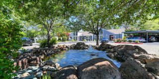 Lake Pointe Apartments Gallery 41