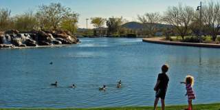 41440 N Bent Creek Way Gallery 40