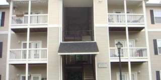 Great condo Gallery 1