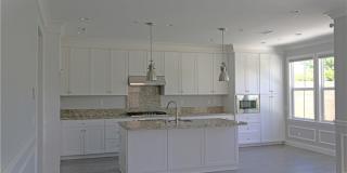 132 Island Coral Gallery 12