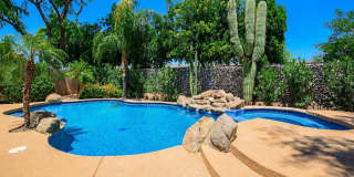 17809 N 57TH Place Gallery 52