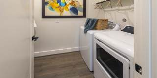 Eden at Sunterra Gallery 8