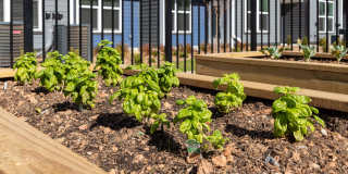 The Dorsey by Alta Gallery 47