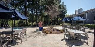 Kirker Creek Gallery 18