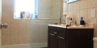 Huge, updated, sunny 5 bed in Coolidge Corner for 9/1! Gallery 19