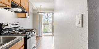 Luxe at Meridian Gallery 28