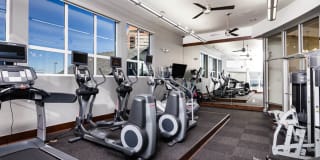 AMLI Park Avenue Gallery 27