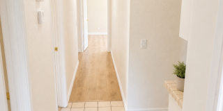 Beautiful Single-Story Home in the Desirable San Carlos Neighborhood Gallery 30