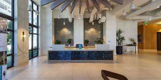 The Tropic Gallery 5
