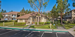 Evergreen Gallery 10