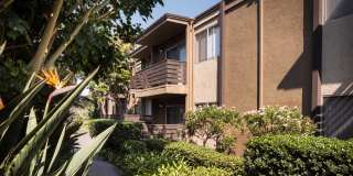 Elán Avante Apartment Homes Gallery 8