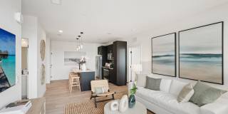 The Centro Gallery 46