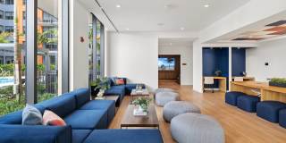 Centro City Gallery 15
