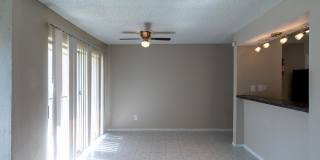 Woods of Spring Grove Gallery 37