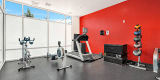 Larimer 35 Gallery 8