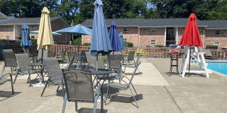 Tree Haven Apartments Gallery 10