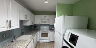2520 Pansey Lane Gallery 10