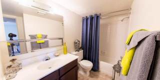 Forest Creek Gallery 11