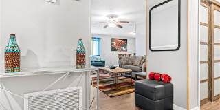 5350 ARPANA DRIVE Gallery 12