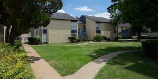 Buena Vista Gallery 4