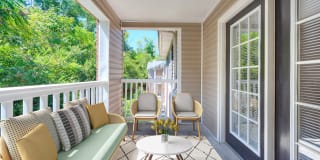 Swiss View Swiss View Gallery 16