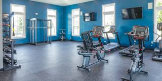 Killarney Woods Gallery 16