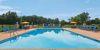 Hunters Chase Gallery 15