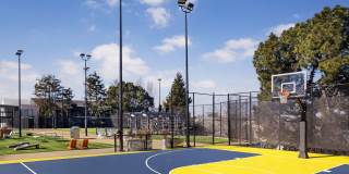 South Shore Gallery 24